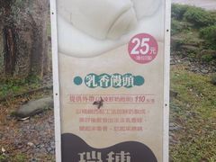 -瑞穗牧场