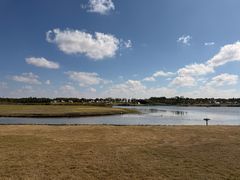 -春花秋色城市公园