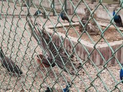 -南京金牛湖风景区