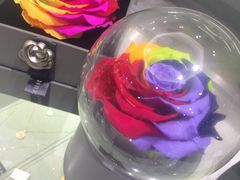 -ROSEONLY诺誓(磐基中心店)