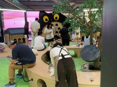 -爪爪喵星球·猫舍(卓悦中心店)