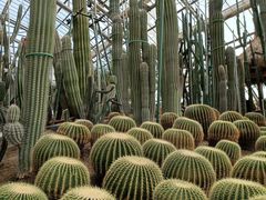 -南山植物园