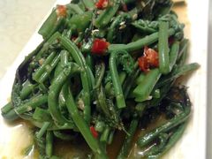凉拌蕨菜-自贡盐帮菜·玩辣餐厅(樱花园西街店)