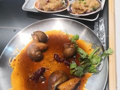 酱爆鲍鱼螺-老虎滩大连海鲜烧烤(建邺云锦路总店)