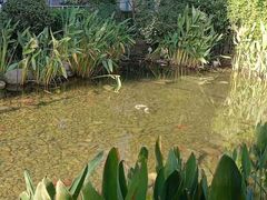 -活水公园