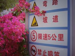 -小南山公园