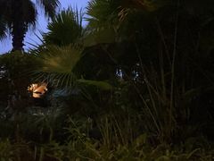 -广州都喜泰丽温泉度假酒店
