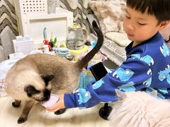 -鑫明明拉面(宁化路店)