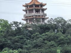 -紫马岭公园