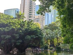 -九龙公园