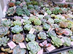 -KKV(深圳宏发大仟里店)