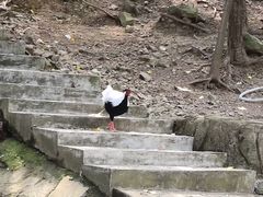 -燕塞湖鸟语林景区