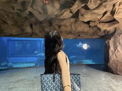 -南昌融创海世界