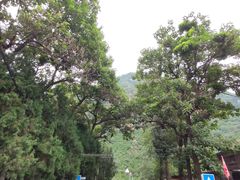 -北京上方山国家森林公园
