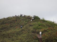 -大围山国家森林公园