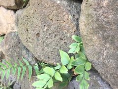 -南京市江宁方山