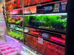 -双季花艺园艺市场(浦东店)