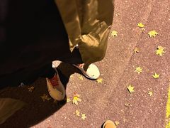 -长白山万达喜来登度假酒店