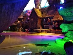 -华夏文旅海洋公园