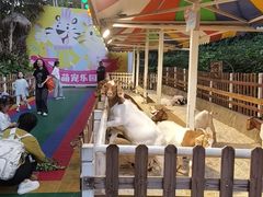 -广州长隆国际大马戏