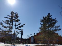 -东郊湿地公园