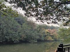 -白马涧龙池景区
