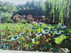 -韶山毛泽东同志故居