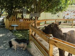 -HERRE·FARM 赫尔露营农场·团建聚会包场