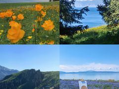 -赛里木湖风景名胜区