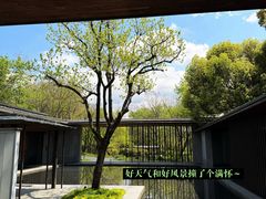 -木守西溪溪隐餐厅