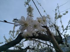 -唐城墙遗址公园