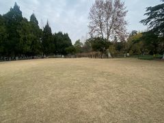-瀛洲公园