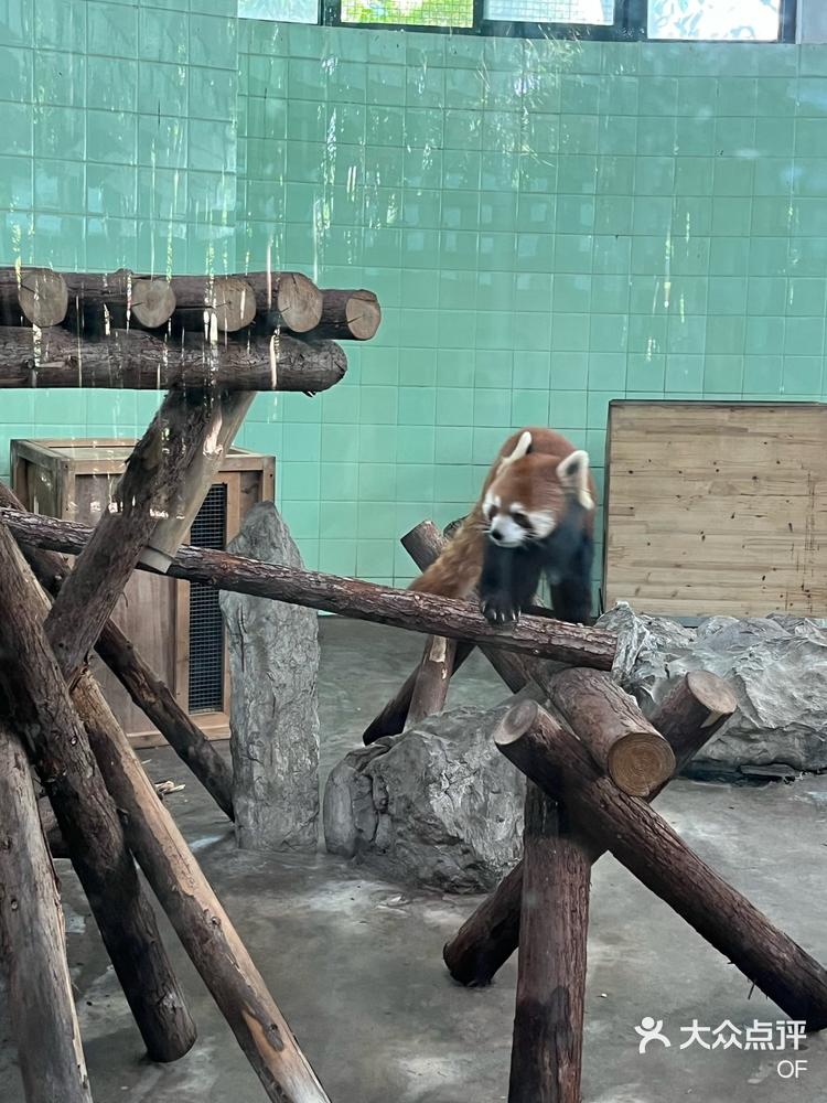 动物园里有什么