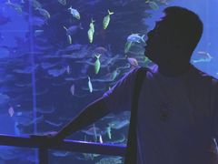 -泉城欧乐堡海洋极地世界