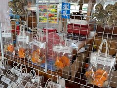-蓝湾碧波·老字号·疍家非遗海上餐厅