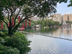 -荔湾湖公园