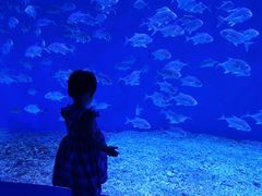 -波塞冬旅游度假区