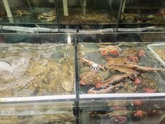 -金地利海鲜酒楼(清凉门店)