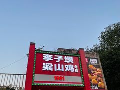 -李子坝梁山鸡(李子坝大鸡哥店)