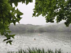-紫霞湖公园