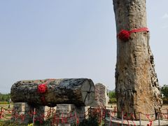 -北京凤凰岭