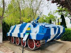 -泰达航母主题公园