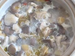 平菇-15年老字号鑫鑫猪肚鸡·椰子鸡海南火锅(兴隆华侨农场店)