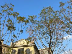 -赤坎·广东华侨国际旅游度假区