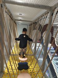 -奈尔宝家庭中心·亲子餐厅(北京东坝万达店)