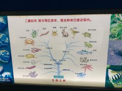 -上海昆虫博物馆