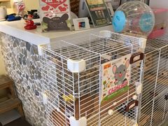 -龙猫仔乐园(惠福东路店)