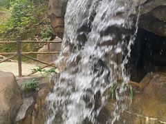 -广州市流溪河国家森林公园