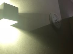 -北京王府井烤鸭(泰兴店)