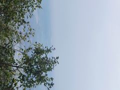 -北京凤凰岭